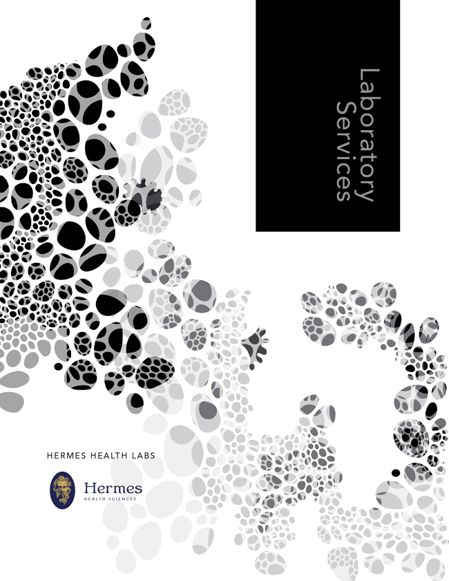 Branding, Marketing, and Creative Services, Collateral marketing, Professional Brochure Layout Design